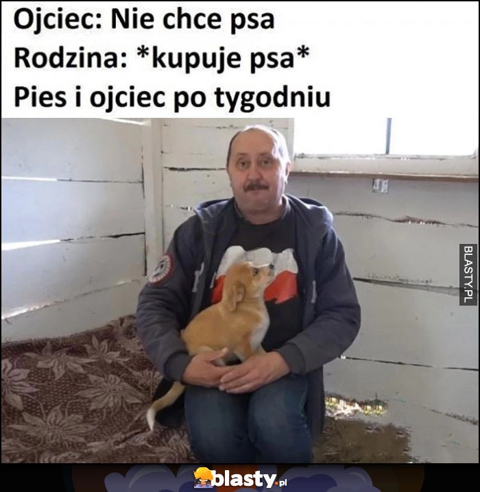 
    Ojciec: nie chce psa, rodzina kupuje psa, pies i ojciec po tygodniu