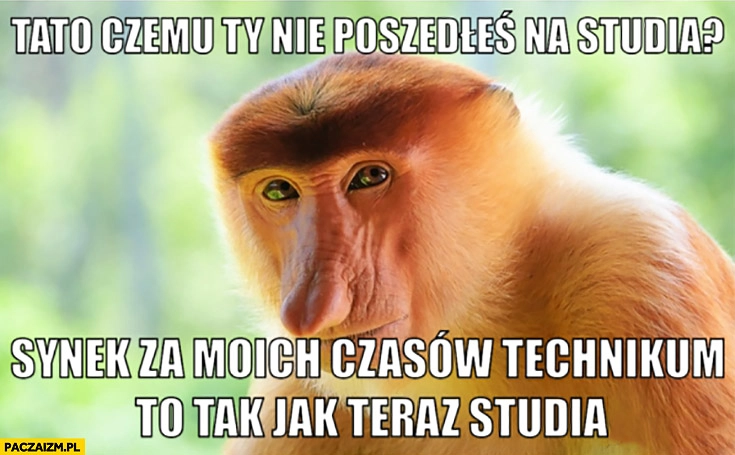 
    Tato czemu Ty nie poszedłeś na studia? Synek za moich czasów technikum to tak jak teraz studia typowy Polak nosacz małpa