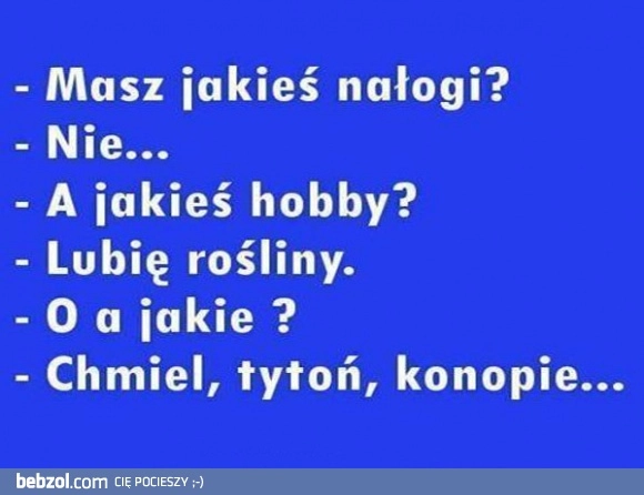 
    Masz jakieś nałogi?