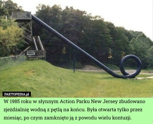 
    W 1985 roku w słynnym Action Parku New Jersey zbudowano zjeżdżalnię wodną