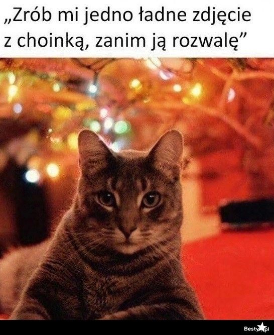 
    Zdjęcie z choinką