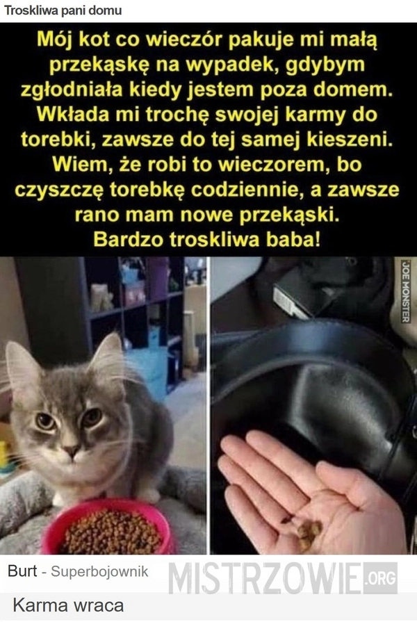 
    Troskliwa pani domu