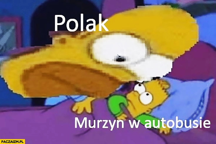 
    Polak murzyn w autobusie przygląda mu się Simpsonowie