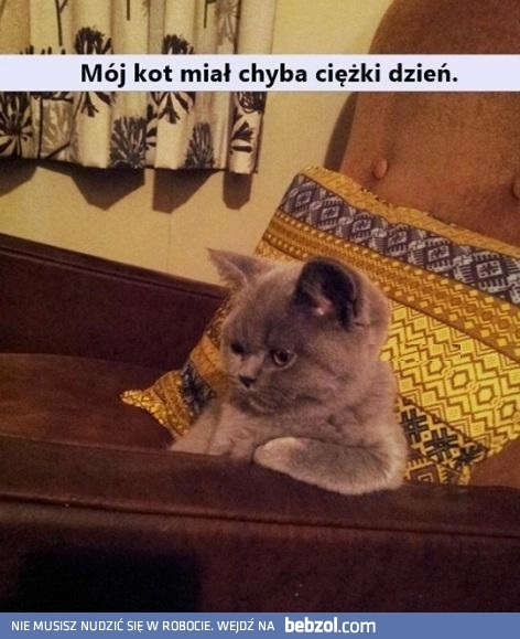 
    Ciężki dzień