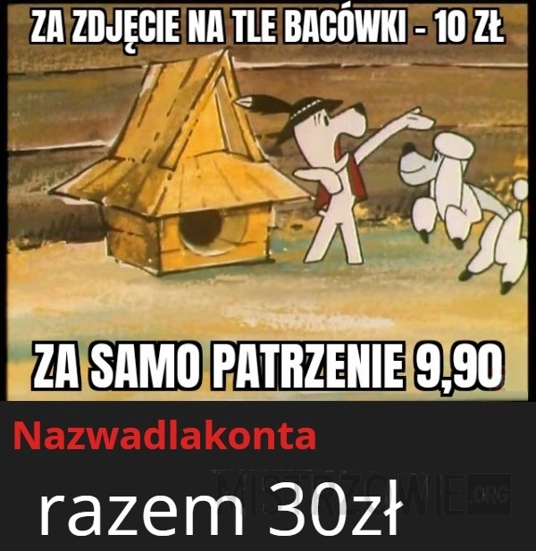 
    Zdjęcia