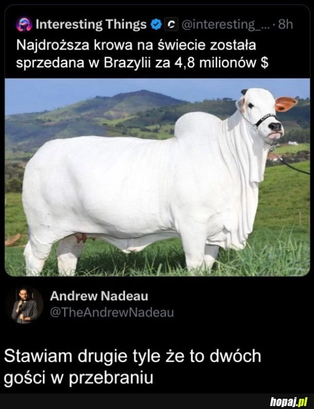 
    Też to widzę