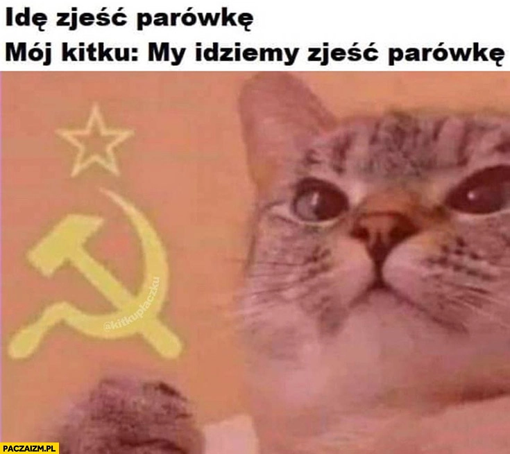 
    Idę zjeść parówkę, mój kot: my idziemy zjeść parówkę komunizm