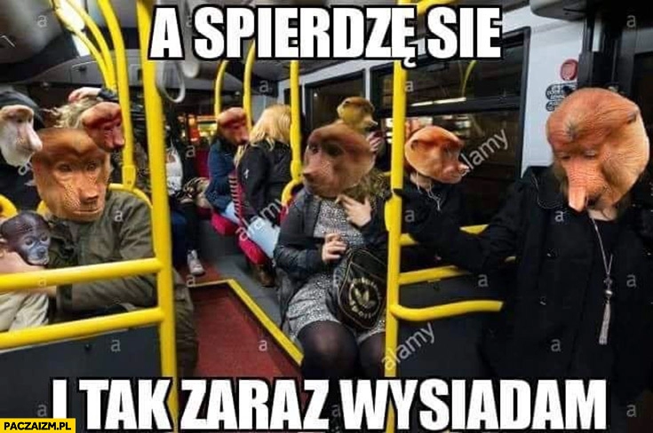 
    A spierdzę się i tak zaraz wysiadam typowy Polak nosacz małpa