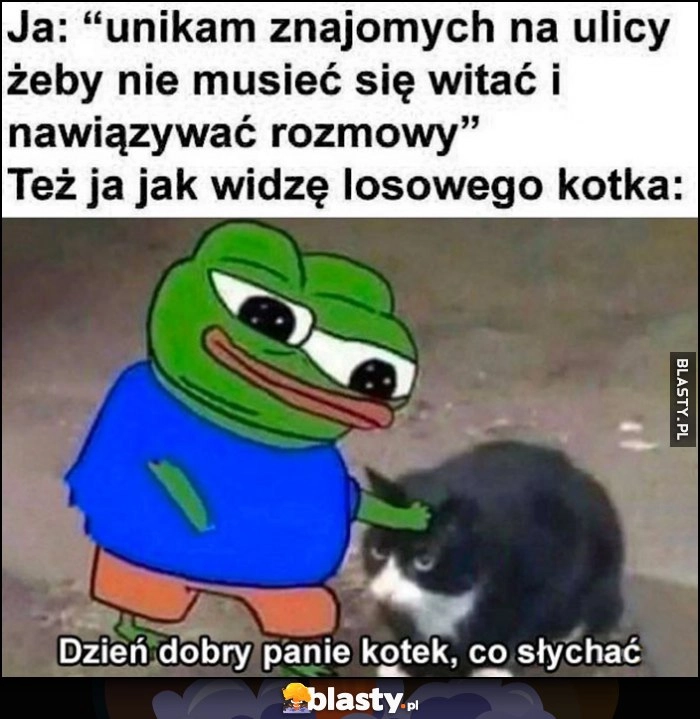 
    Ja: unikam znajomych na ulicy, żeby nie musieć się witać i nawiązywać rozmowy vs też ja jak widzę losowego kotka: dzień dobry panie kotek, co słychać