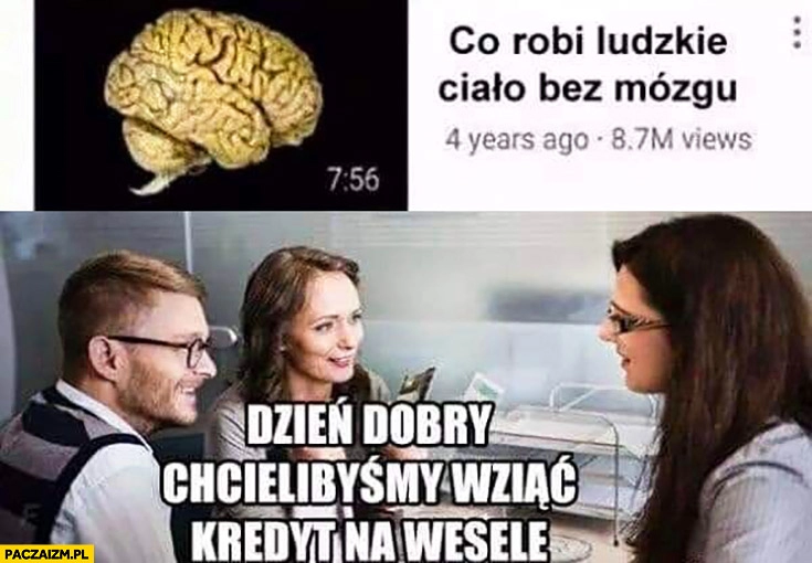 
    Co robi ludzkie ciało bez mózgu? Dzień dobry chcielibyśmy wziąć kredyt na wesele