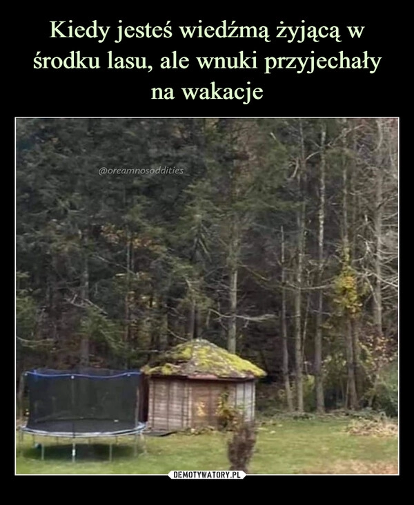 
    Kiedy jesteś wiedźmą żyjącą w środku lasu, ale wnuki przyjechały na wakacje