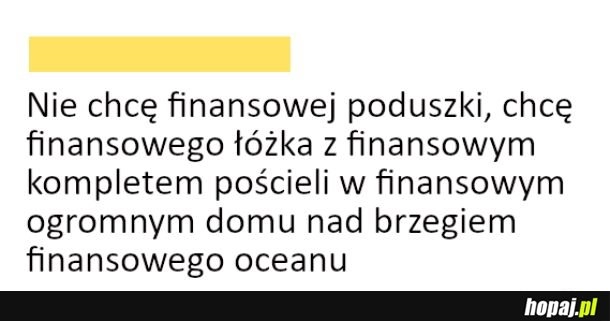 
    Poduszka finansowa