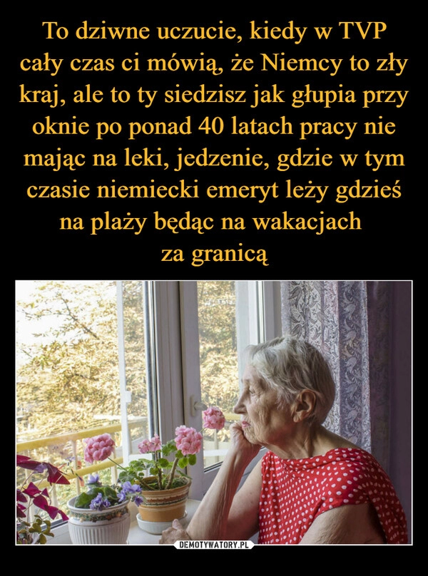 
    To dziwne uczucie, kiedy w TVP cały czas ci mówią, że Niemcy to zły kraj, ale to ty siedzisz jak głupia przy oknie po ponad 40 latach pracy nie mając na leki, jedzenie, gdzie w tym czasie niemiecki emeryt leży gdzieś na plaży będąc na wakacjach 
za granicą