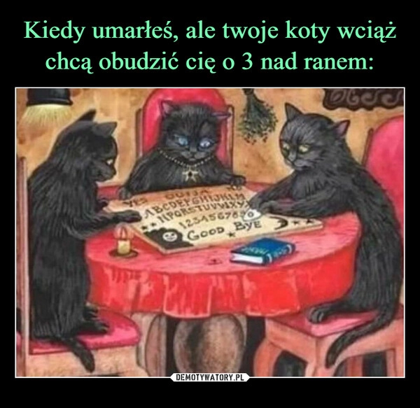 
    Kiedy umarłeś, ale twoje koty wciąż chcą obudzić cię o 3 nad ranem: