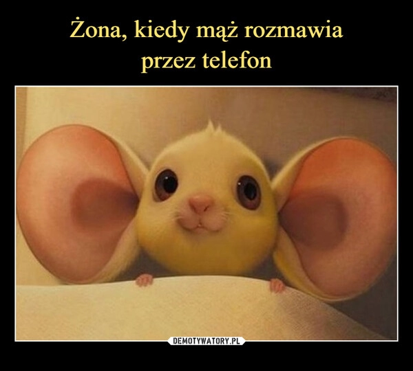 
    Żona, kiedy mąż rozmawia
przez telefon