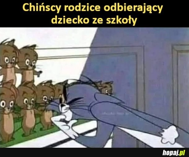 
    Odbieranie dzieci ze szkoły