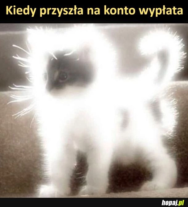 
    Huh, będę wydawać :)