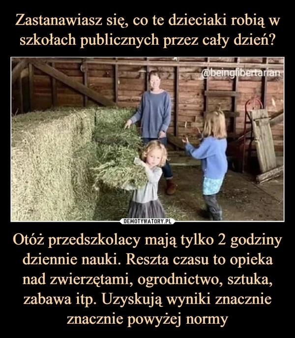 
    Zastanawiasz się, co te dzieciaki robią w szkołach publicznych przez cały dzień? Otóż przedszkolacy mają tylko 2 godziny dziennie nauki. Reszta czasu to opieka nad zwierzętami, ogrodnictwo, sztuka, zabawa itp. Uzyskują wyniki znacznie znacznie powyżej normy