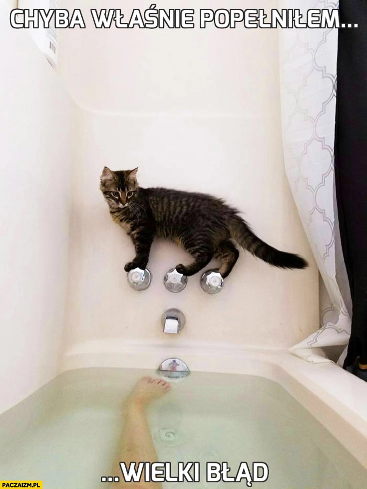 
    Chyba właśnie popełniłem wielki błąd kot nad wanną bez powrotu