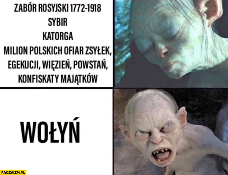 
    Zabór rosyjski, sybir, katorga, milion polskich ofiar, zsyłek, więzień, powstań vs Wołyń reakcja Gollum