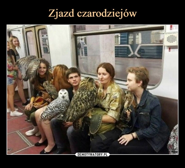 
    Zjazd czarodziejów