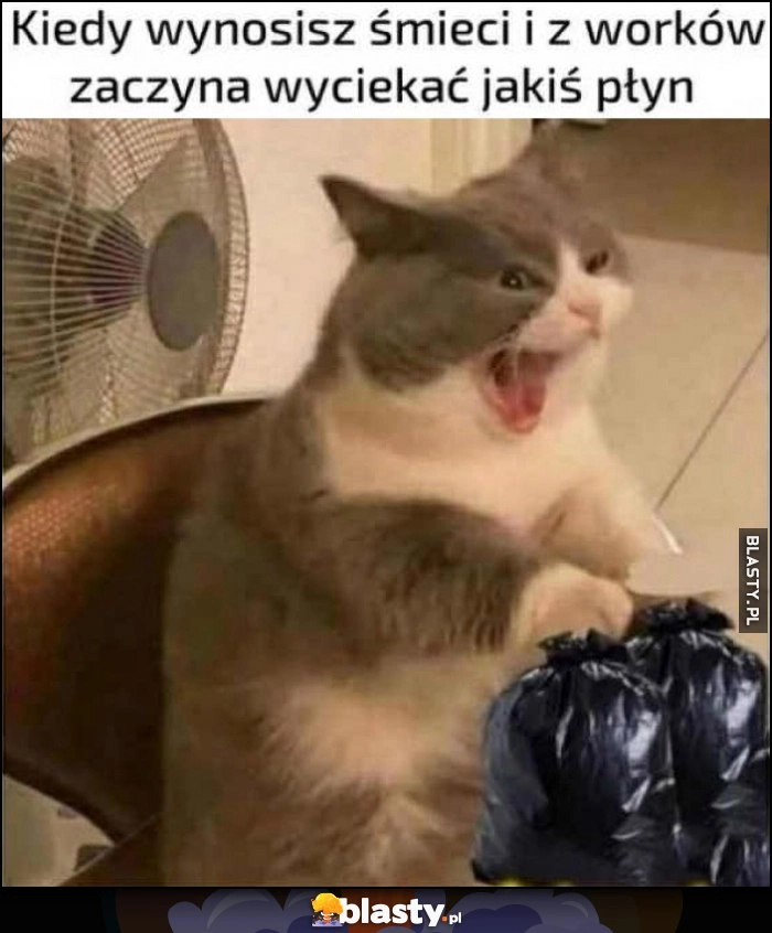 
    Kiedy wynosisz śmieci i z worków zaczyna wyciekać jakiś płyn kot kotek reakcja