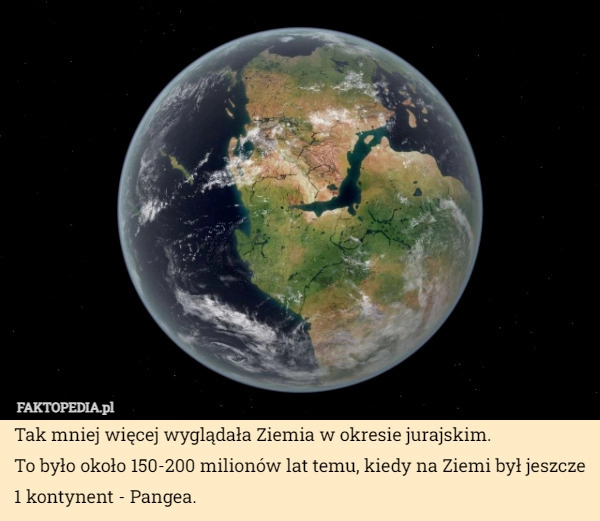 
    Tak mniej więcej wyglądała Ziemia w okresie jurajskim.
To było około 150-200