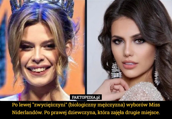 
    Po lewej "zwyciężczyni" (biologiczny mężczyzna) wyborów Miss Niderlandów.