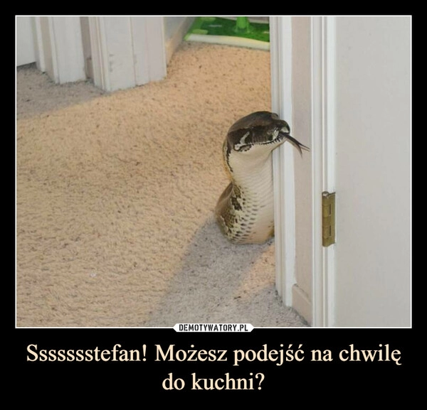 
    Ssssssstefan! Możesz podejść na chwilę do kuchni?