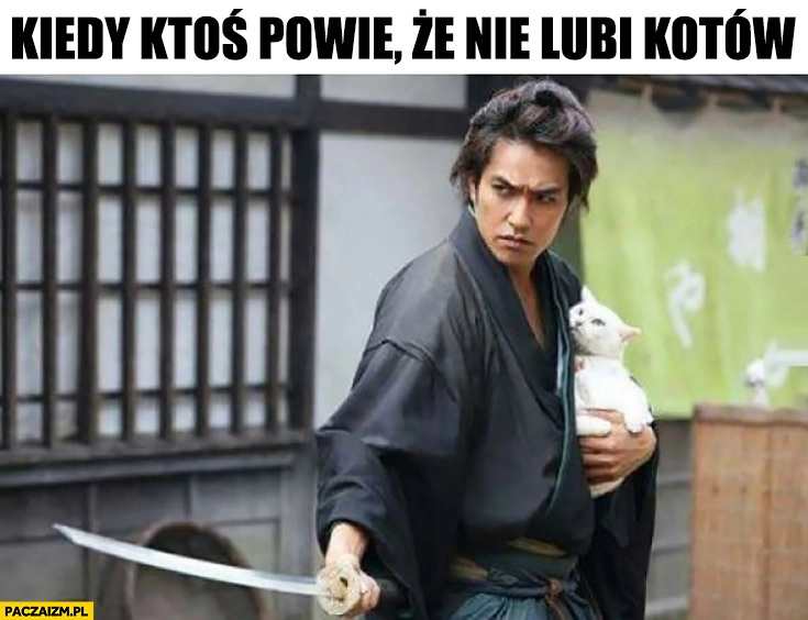 Kiedy ktoś powie, że nie lubi kotów samuraj ninja z kotem broni kota