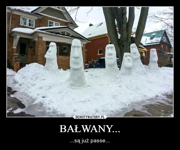 
    BAŁWANY...