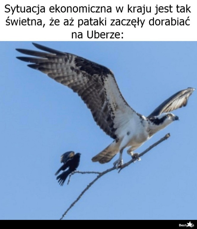 
    Sytuacja ekonomiczna 