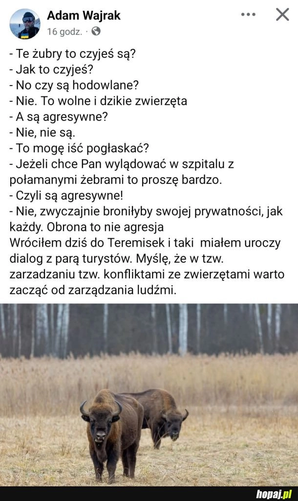 
    Ludzie są głupi, odcinek 4563