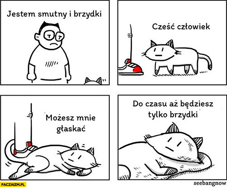 
    Jestem smutny i brzydki, cześć człowiek możesz mnie głaskać do czasu aż będziesz tylko brzydki