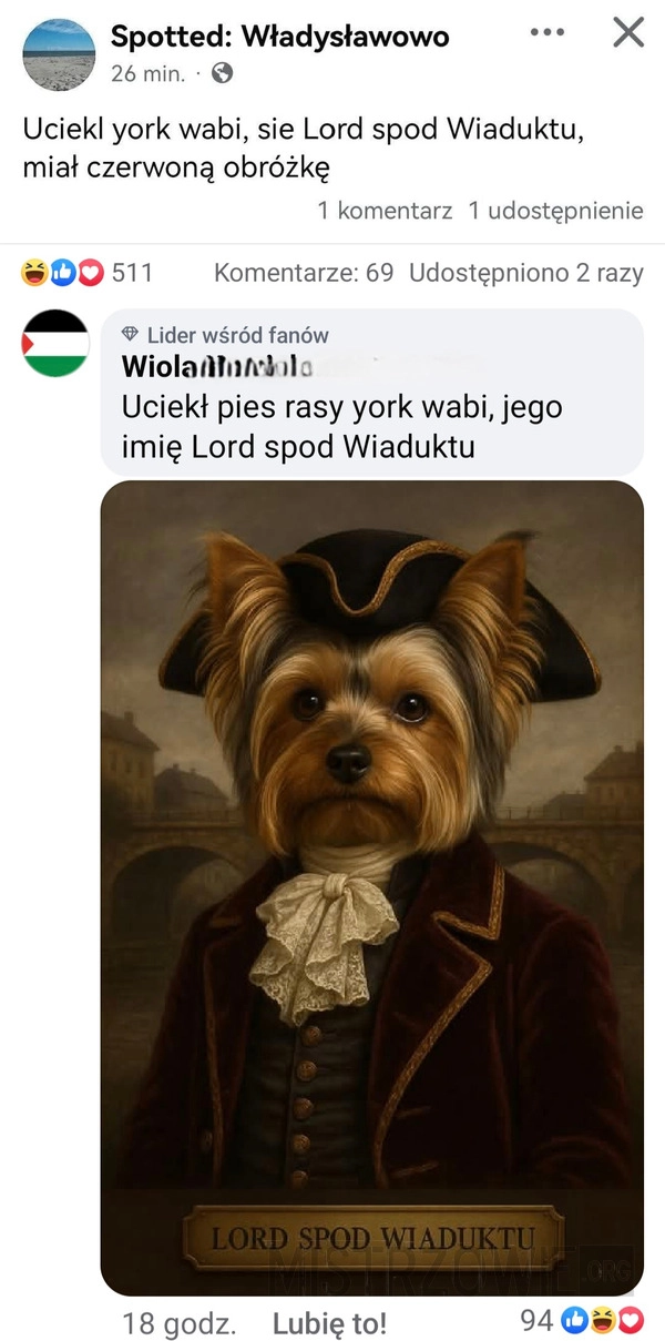 
    Tak wygląda