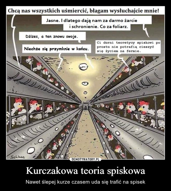 
    Kurczakowa teoria spiskowa