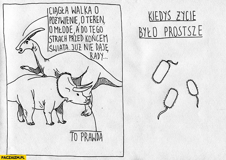
    Dinozaury: ciągła walka o pożywienie, teren, młode, a do tego strach przed końcem świata, kiedyś życie było prostsze proste bakterie pierwotniaki