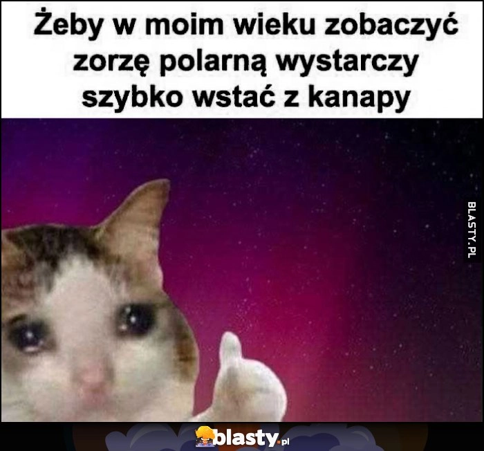 
    Żeby w moim wieku zobaczyć zorzę polarną wystarczy szybko wstać z kanapy kot kotek