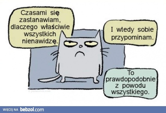 
    Dlaczego wszystkich nienawidzę?