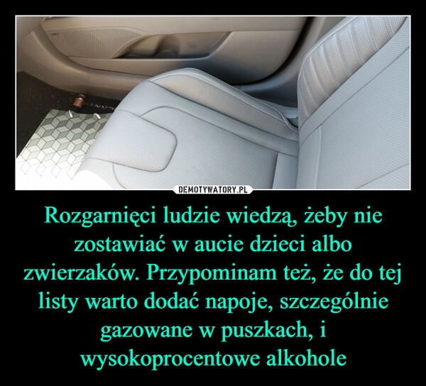 
    Rozgarnięci ludzie wiedzą, żeby nie zostawiać w aucie dzieci albo zwierzaków. Przypominam też, że do tej listy warto dodać napoje, szczególnie gazowane w puszkach, i wysokoprocentowe alkohole