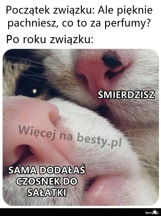 
    Trochę się pozmieniało 