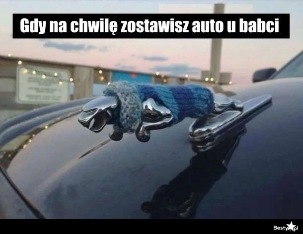 
    Babcia zadbała 