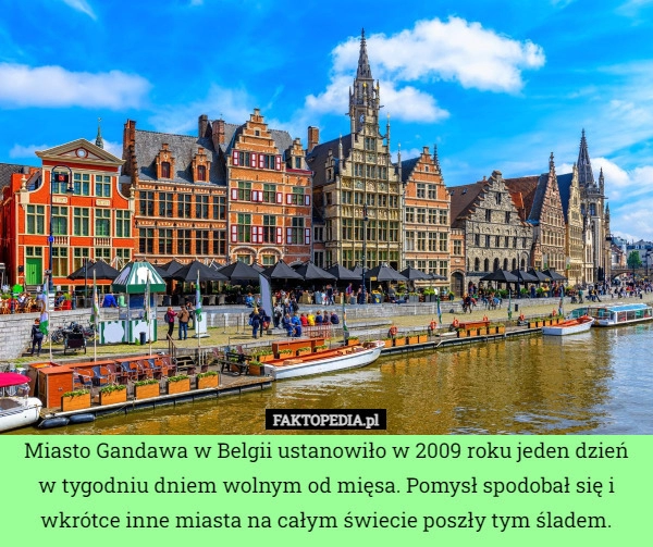 
    Miasto Gandawa w Belgii ustanowiło w 2009 roku jeden dzień w tygodniu dniem