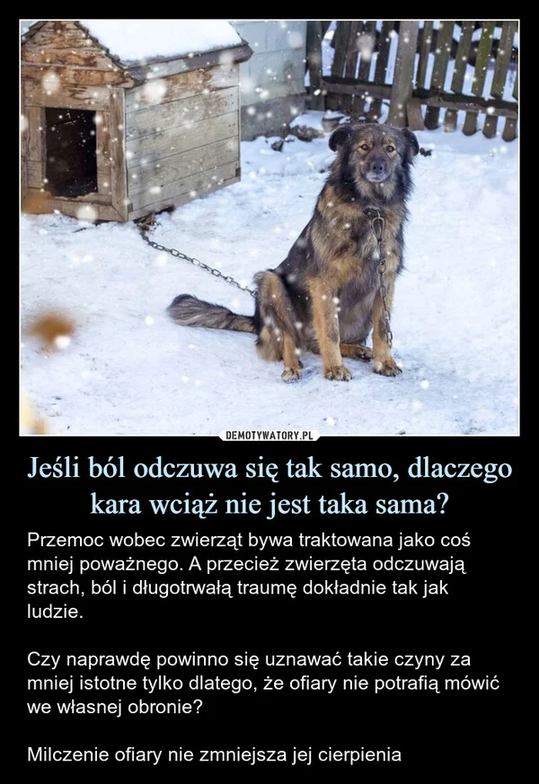 
    Jeśli ból odczuwa się tak samo, dlaczego kara wciąż nie jest taka sama?
