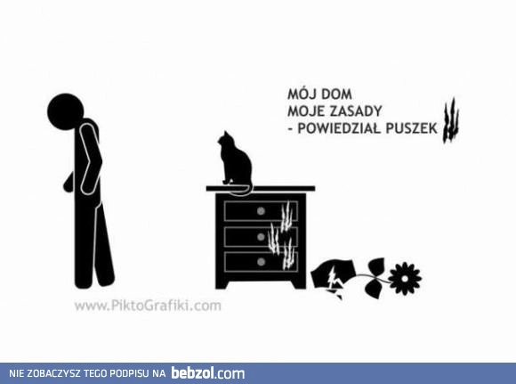 Puszek