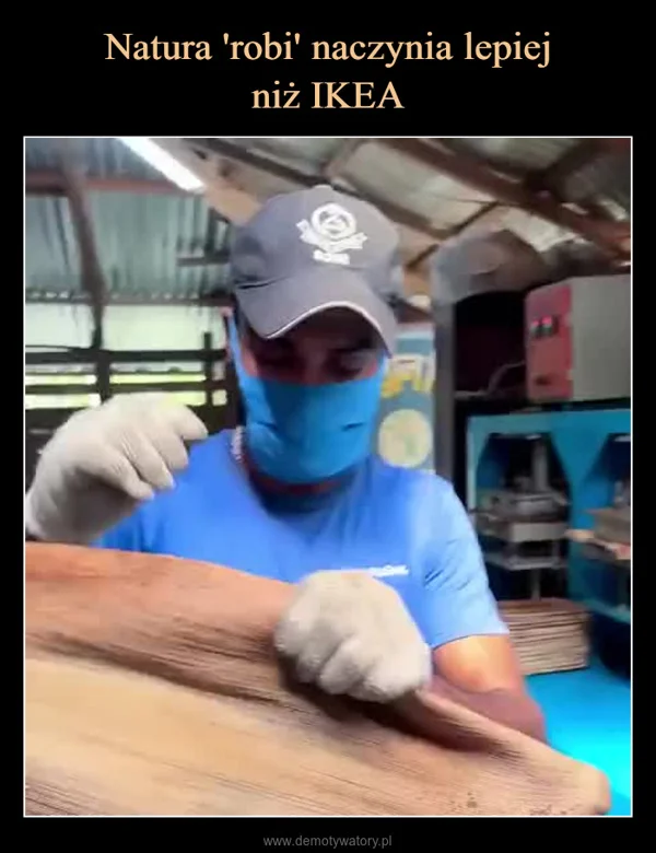 
    Natura 'robi' naczynia lepiej niż IKEA