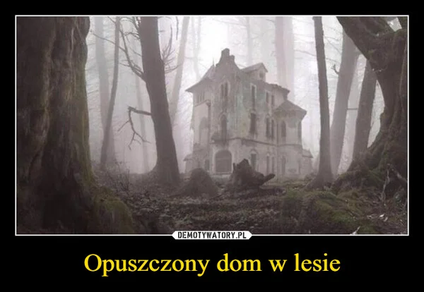 
    Opuszczony dom w lesie