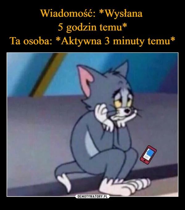 
    Wiadomość: *Wysłana 5 godzin temu* Ta osoba: *Aktywna 3 minuty temu*