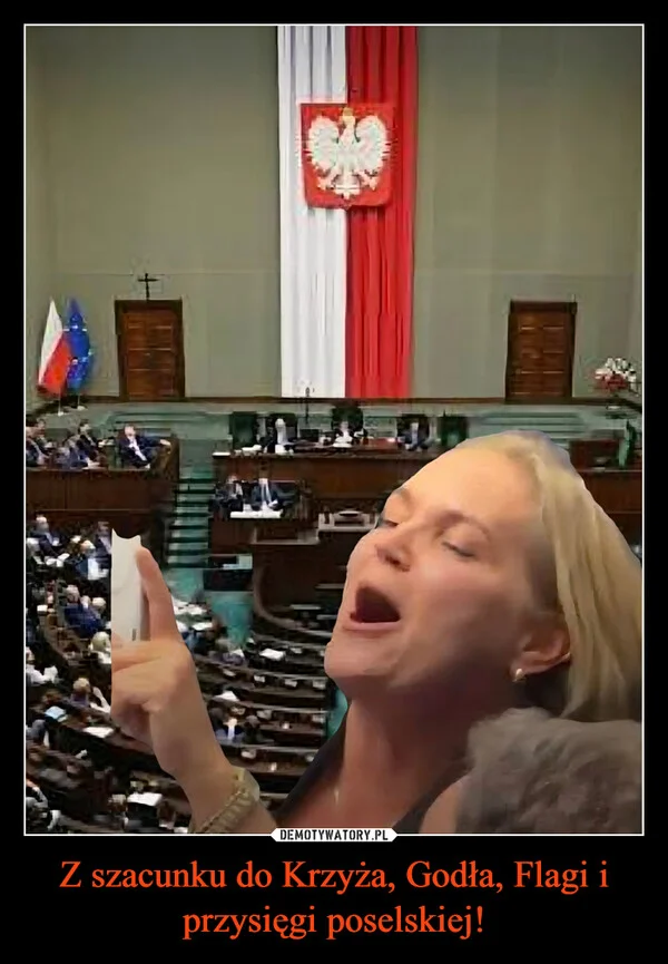 Z szacunku do Krzyża, Godła, Flagi i przysięgi poselskiej!