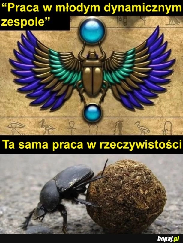 
    Rzeczywistość